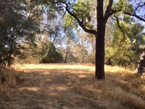 3545 Overton Rd, Cool, CA 95614 photo 4