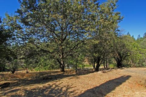 36 Walnut St, Colfax, CA 95713 photo 19