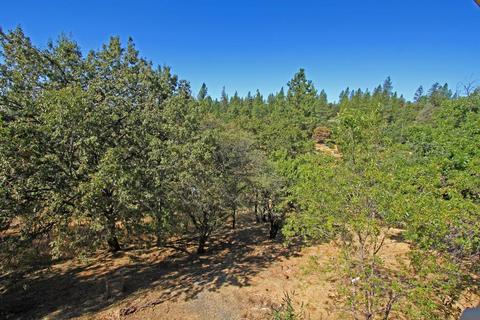 36 Walnut St, Colfax, CA 95713 photo 18