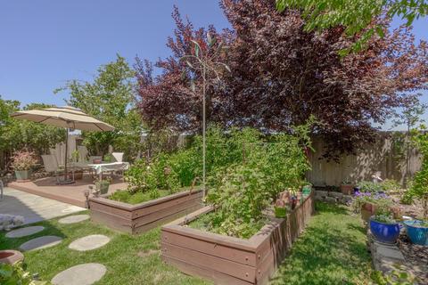 4127 Frontera Dr, Davis, CA 95618 photo 23