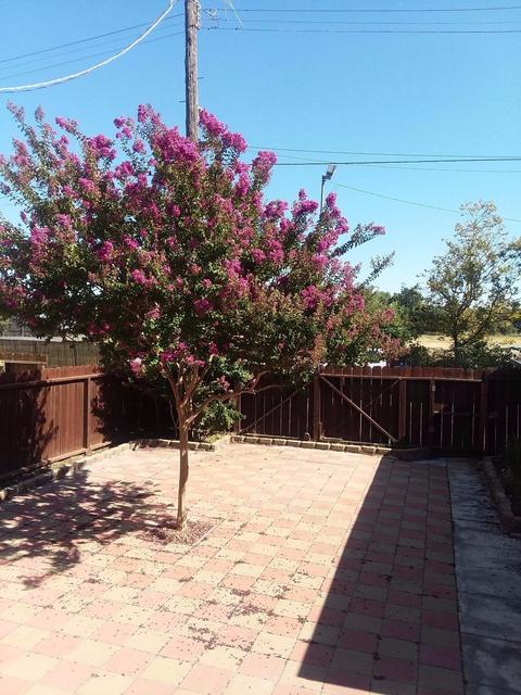 206 4th St, Isleton, CA 95641 photo 8