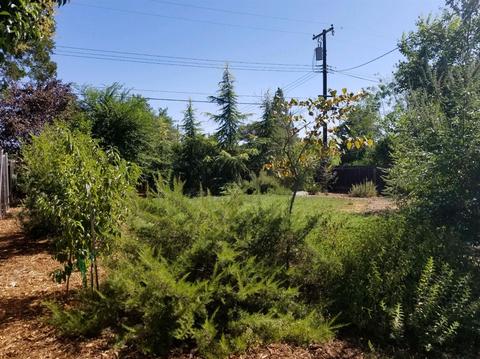 9440 Erwin Ave, Orangevale, CA 95662 photo 15