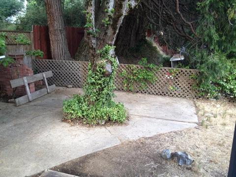 1292 Carson Rd, Placerville, CA 95667 photo 22