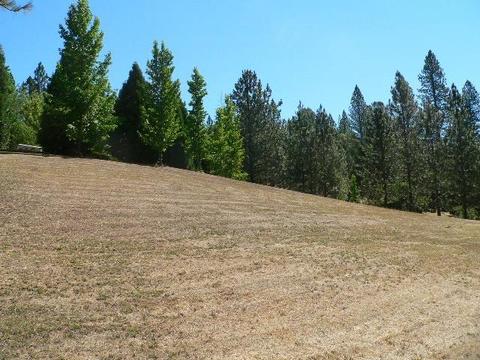 19385 E Clinton Rd, Jackson, CA 95642 photo 8