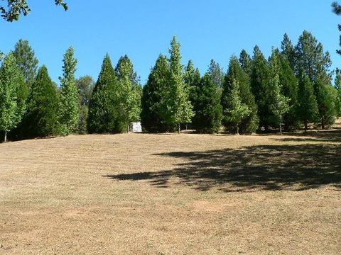 19385 E Clinton Rd, Jackson, CA 95642 photo 26