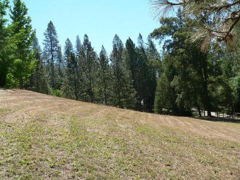 19385 E Clinton Rd, Jackson, CA 95642 photo 27