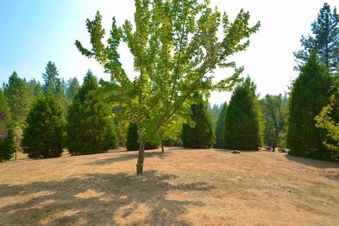 19385 E Clinton Rd, Jackson, CA 95642 photo 22