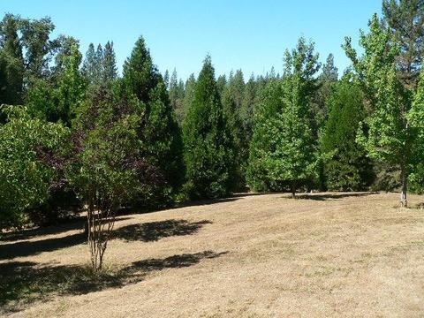 19385 E Clinton Rd, Jackson, CA 95642 photo 2
