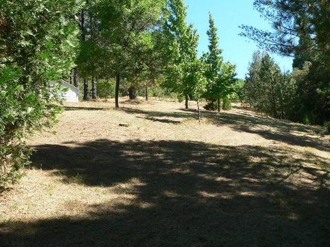 19385 E Clinton Rd, Jackson, CA 95642 photo 34