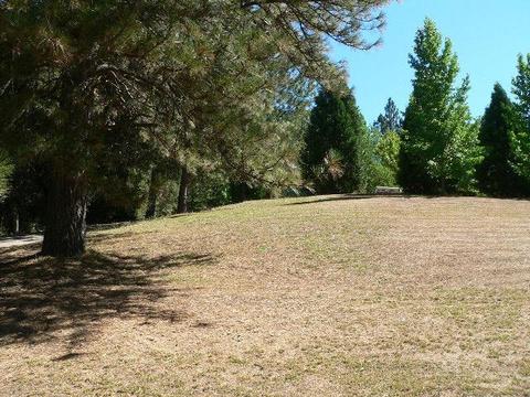 19385 E Clinton Rd, Jackson, CA 95642 photo 25