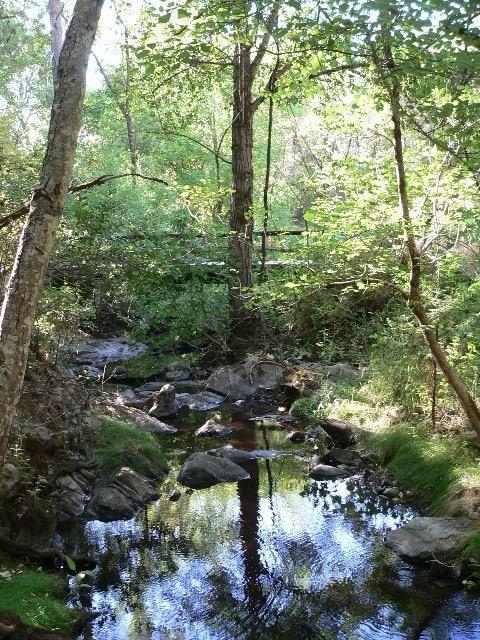 16970 Stage Rd, Sutter Creek, CA 95685 photo 2