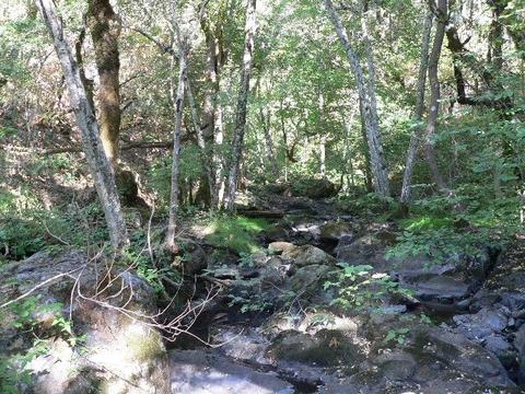 16970 Stage Rd, Sutter Creek, CA 95685 photo 34