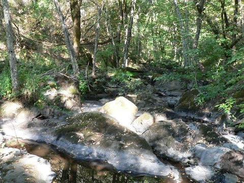 16970 Stage Rd, Sutter Creek, CA 95685 photo 33