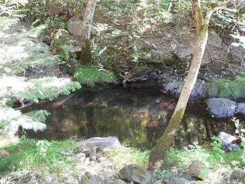 16970 Stage Rd, Sutter Creek, CA 95685 photo 19