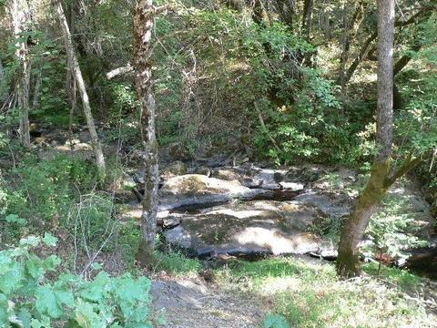 16970 Stage Rd, Sutter Creek, CA 95685 photo 35