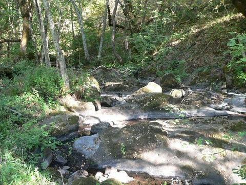 16970 Stage Rd, Sutter Creek, CA 95685 photo 32