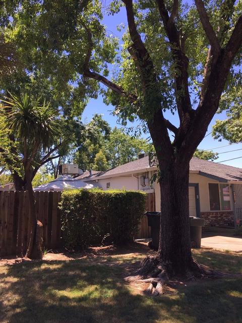 6020 Grant Ave, Carmichael, CA 95608 photo 10