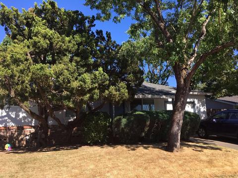 6020 Grant Ave, Carmichael, CA 95608 photo 14