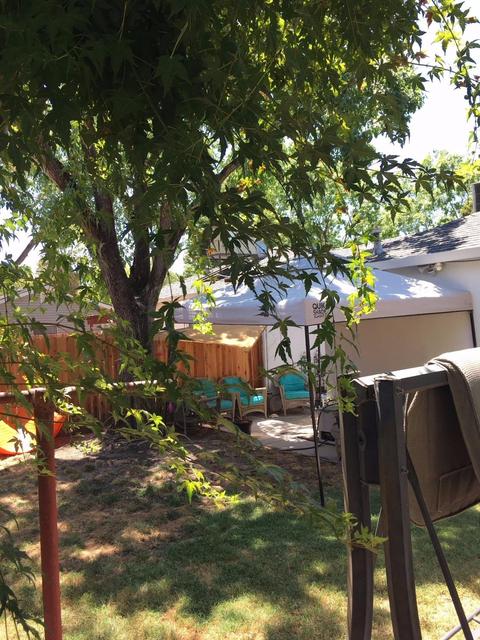6020 Grant Ave, Carmichael, CA 95608 photo 12
