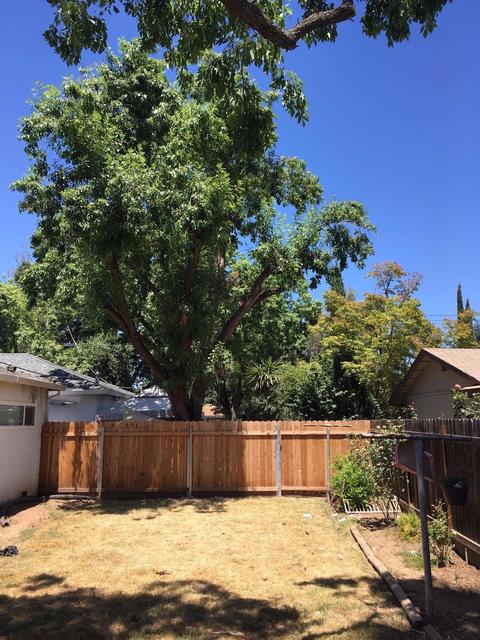6020 Grant Ave, Carmichael, CA 95608 photo 29