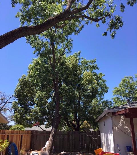 6020 Grant Ave, Carmichael, CA 95608 photo 28