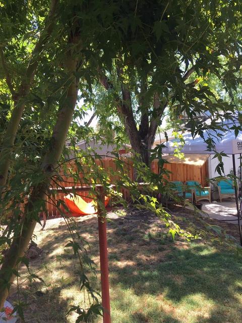 6020 Grant Ave, Carmichael, CA 95608 photo 11