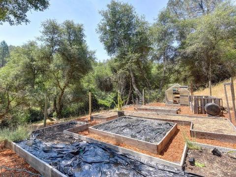 2020 Indian Rock Rd, Cool, CA 95614 photo 19
