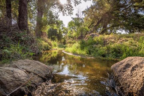 3675 Oak Tree Ln, Loomis, CA 95650 photo 29