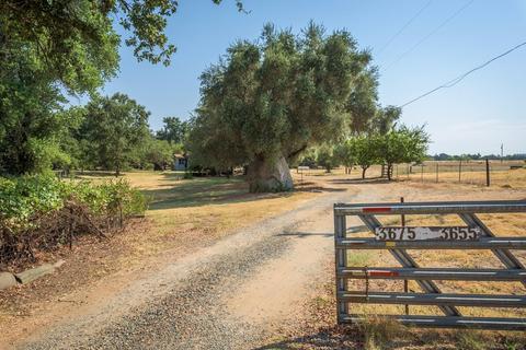 3675 Oak Tree Ln, Loomis, CA 95650 photo 3