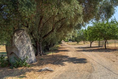 3675 Oak Tree Ln, Loomis, CA 95650 photo 4