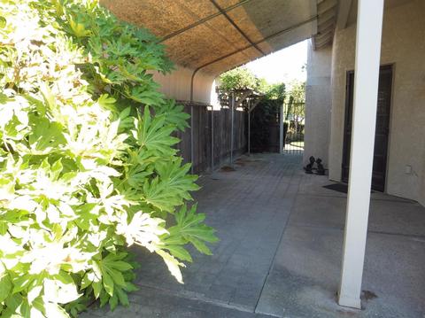 859 E Milgeo Ave, Ripon, CA 95366 photo 20