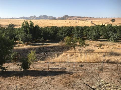 8681 S Butte Rd, Sutter, CA 95982 photo 20
