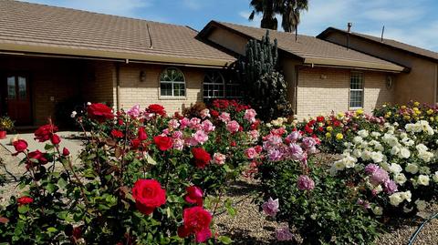 8681 S Butte Rd, Sutter, CA 95982 photo 1
