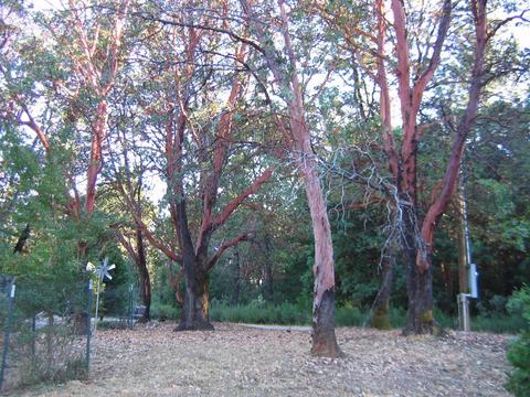 6680 Citabria Ln, Georgetown, CA 95634 photo 25