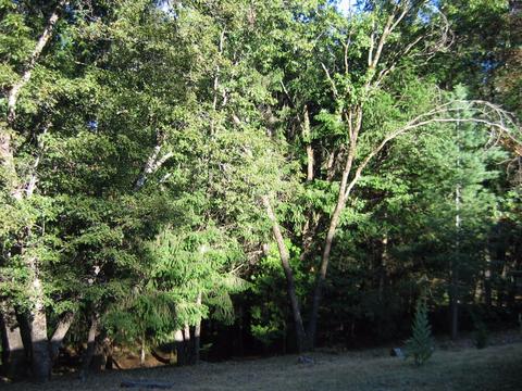 6680 Citabria Ln, Georgetown, CA 95634 photo 26