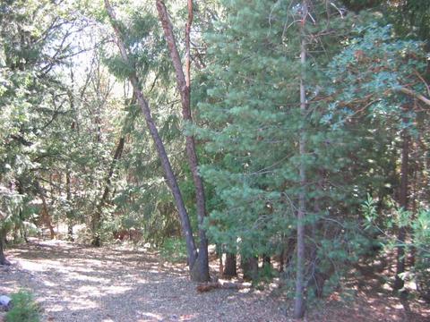6680 Citabria Ln, Georgetown, CA 95634 photo 24