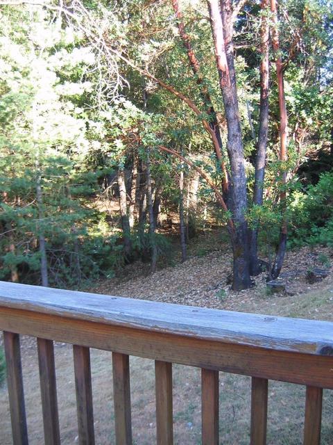 6680 Citabria Ln, Georgetown, CA 95634 photo 23