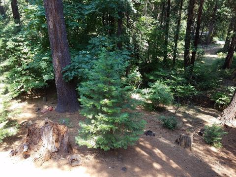 6461 Elf Ct, Pollock Pines, CA 95726 photo 20