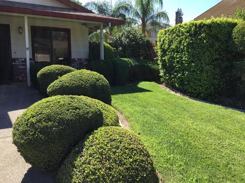 1146 Mammoth Dr, Manteca, CA 95337 photo 2