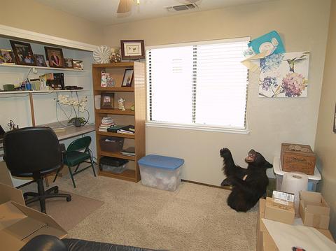 1821 Pantaleo Dr, Modesto, CA 95355 photo 23