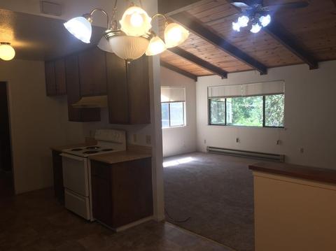 7103 Pine Cone Dr, Pollock Pines, CA 95726 photo 18