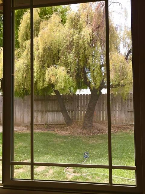 1628 Montecito Ave, Modesto, CA 95355 photo 12