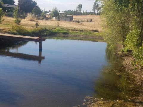 9161 Cid Ln, Wilton, CA 95693 photo 25