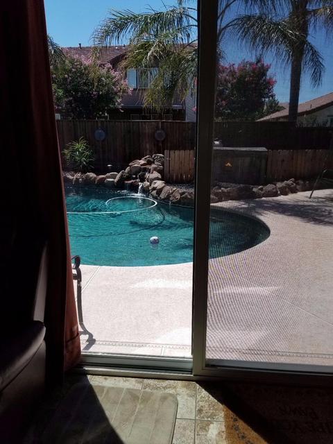4637 Bonsai Ave, Tracy, CA 95377 photo 6