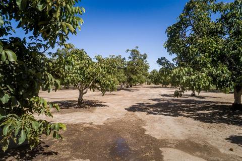 13030 N Devries Rd, Lodi, CA 95242 photo 13