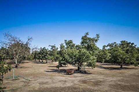 13030 N Devries Rd, Lodi, CA 95242 photo 18