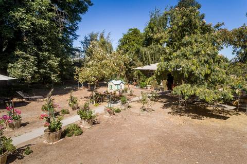 13030 N Devries Rd, Lodi, CA 95242 photo 9