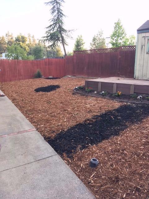 2868 Hocking St, Placerville, CA 95667 photo 21