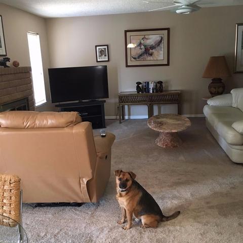 701 E Minnesota Ave, Turlock, CA 95382 photo 5