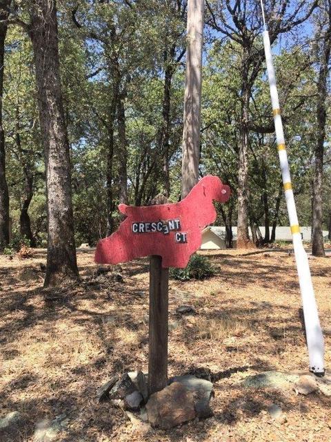 18520 Crescent Ct, Applegate, CA 95703 photo 34